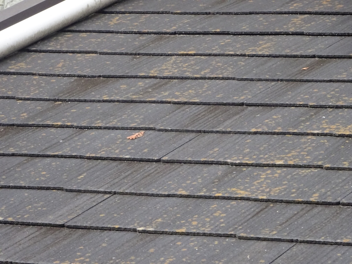 石岡市で築10年のコロニアル屋根塗装！スーパーシャネツサーモ塗り替えます！